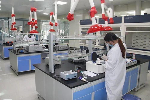 临泽县 深耕沃土，筑梦金秋——全面推进玉米制种产业高质量发展