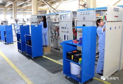 建优质项目 铸精品工程——走进科林电力工程总承包建设工程